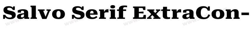 Salvo Serif ExtraCon字体转换